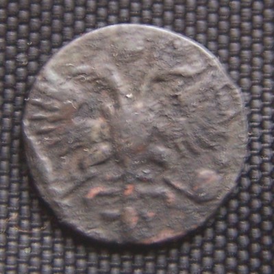 poluska_1722_rev.jpg