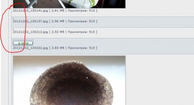 Capture3.JPG