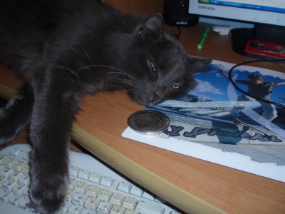 P1010003.JPG