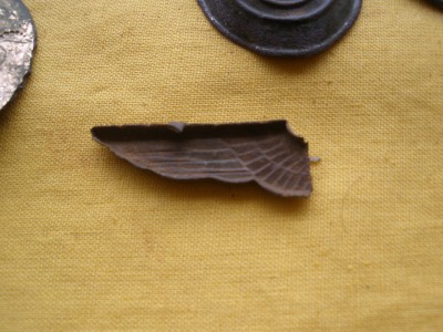 PC080070.JPG