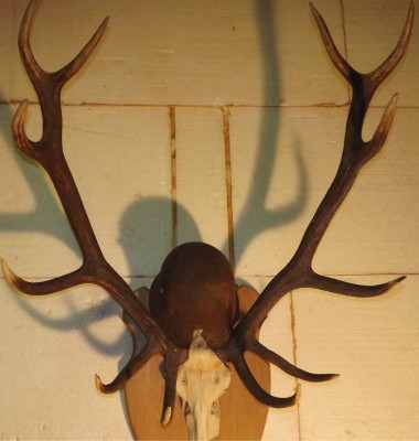 DSCF2616.jpg