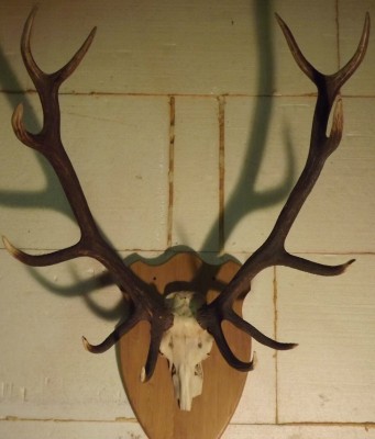 DSCF2620.jpg