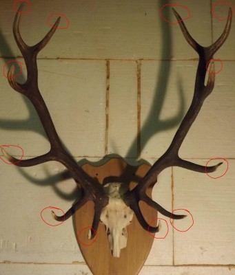 DSCF2620.jpg