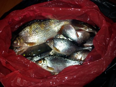 20130103_225143.jpg
