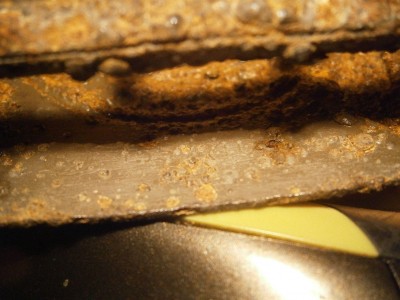 P1090003.JPG