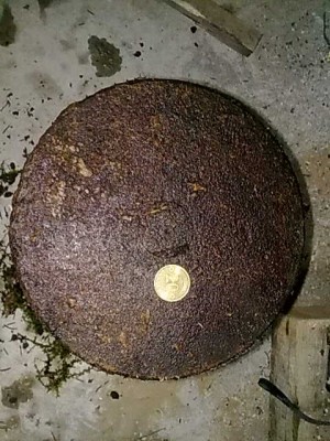 11122012598.jpg