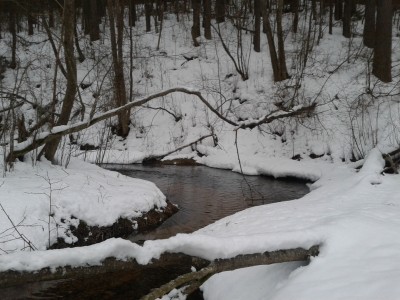 20130215_164106.jpg