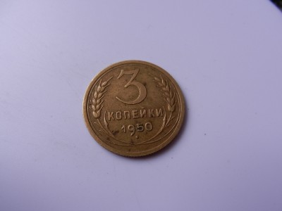 DSCN8650.JPG