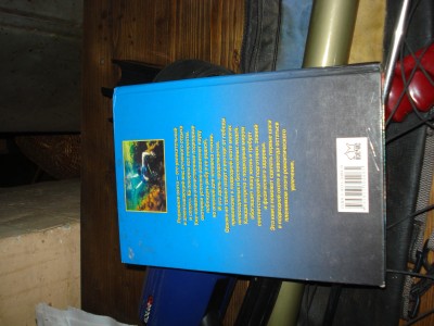 DSC02974.JPG