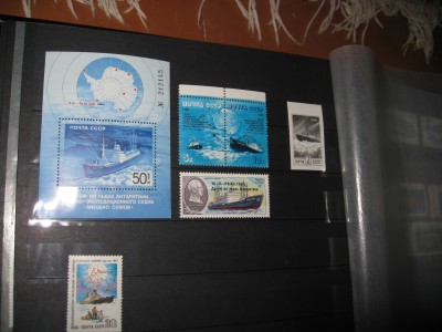 IMG_2382.JPG