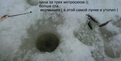 2013-03-03 09.44.37.jpg