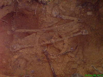 DSC01041.JPG