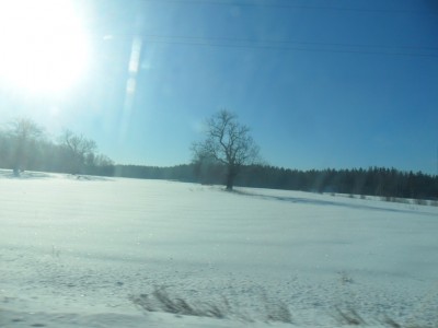 SAM_3530.JPG