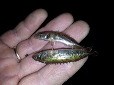 20130305_202151.jpg