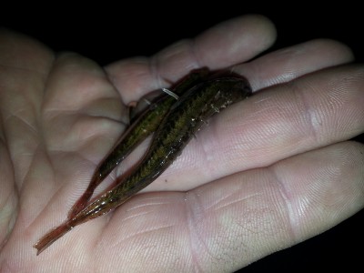 20130305_202229.jpg