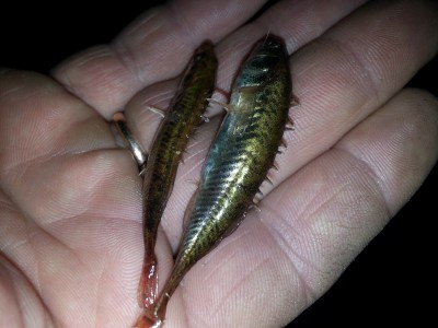 20130305_202236.jpg