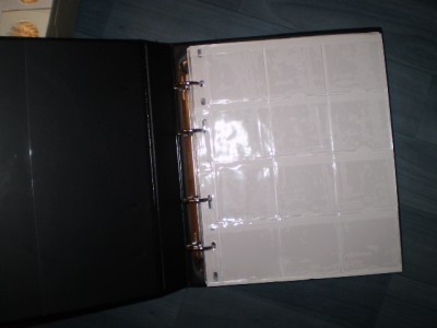 P1010002.JPG