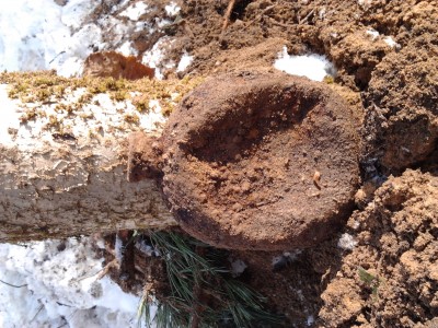 2013-04-03 17.09.31.jpg