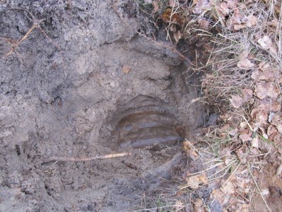 Picture 006.jpg