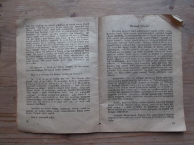Dazadi 017.JPG
