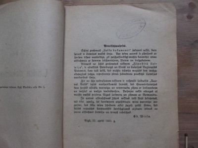 Dazadi 019.JPG