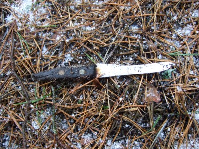 DSCF4865.JPG