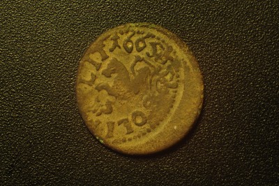 DSC_3782.JPG