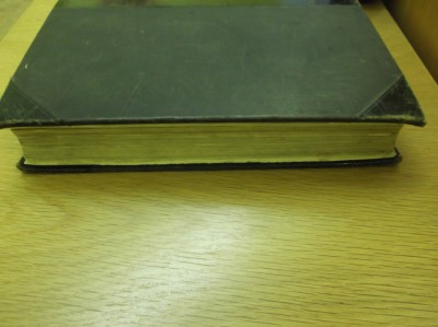 Gogol 1911 (3).JPG
