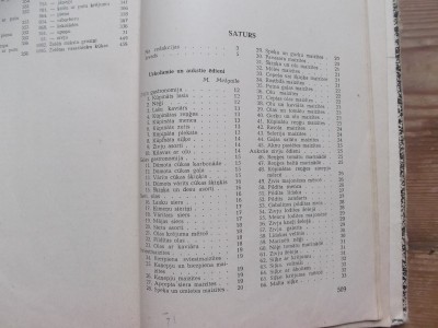 Dazadi 019.JPG