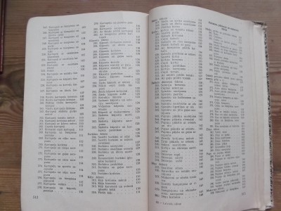 Dazadi 021.JPG