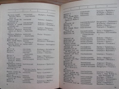 Dazadi 013.JPG