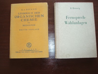 P1013260.JPG
