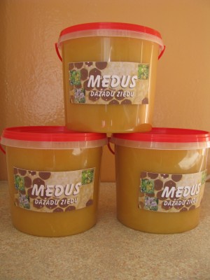 medus.JPG