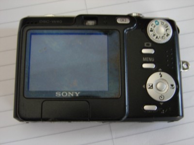 DSC01424.JPG