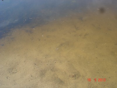 поднятие бойцов 003.JPG