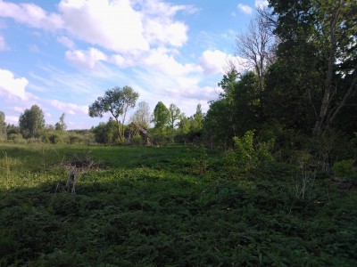 WP_000661.jpg