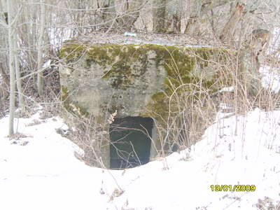 S8303731.JPG
