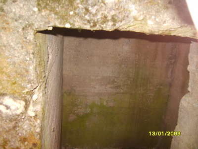 S8303736.JPG