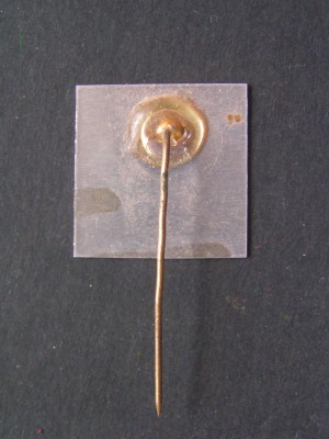 PICT0920.JPG