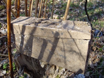 IMGP6987.JPG