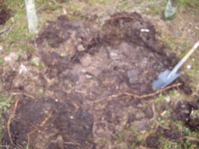 IMGP7067.JPG