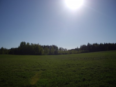 IMGP7117.JPG