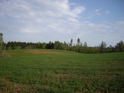 IMGP7141.JPG