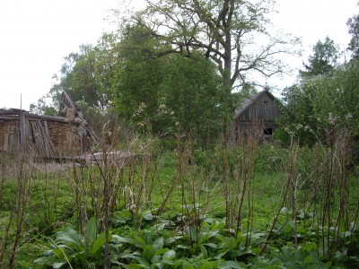 IMGP7226.JPG