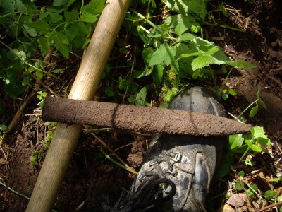 IMGP7253.JPG