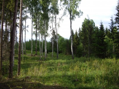 IMGP7255.JPG
