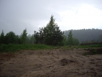 IMGP7261.JPG
