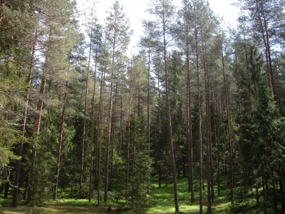 IMGP7268.JPG