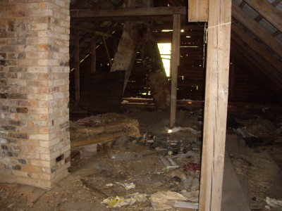 IMGP7224.JPG