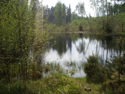 IMGP7177.JPG